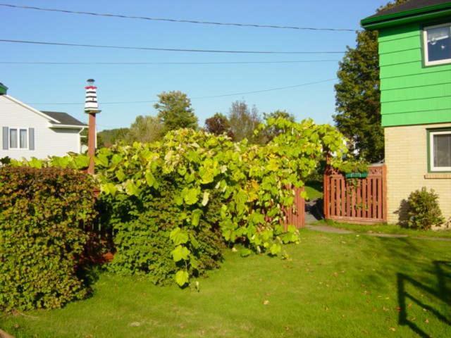 Suncatcher B&B Truro Exterior photo